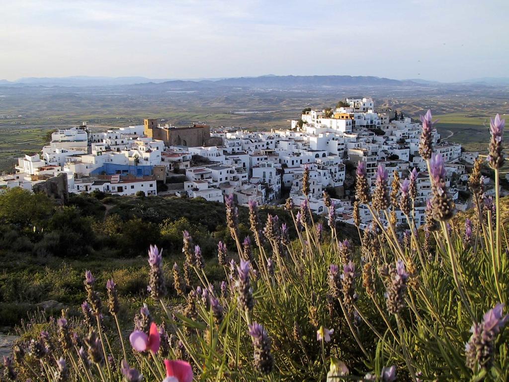 Villa Casa Alta Mojacar Pueblo Extérieur photo